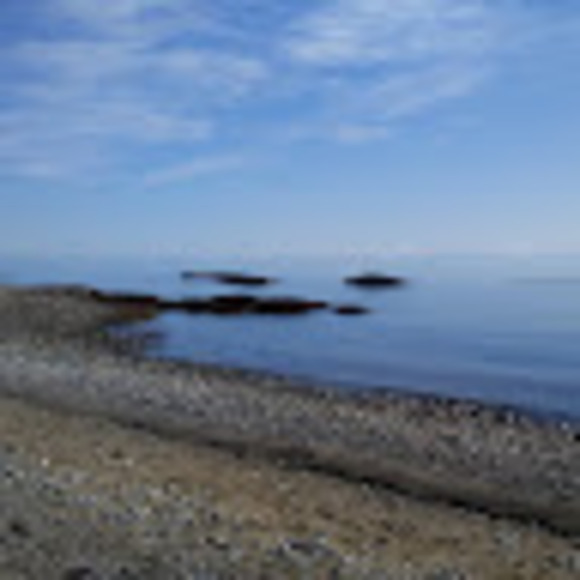 raydh86
